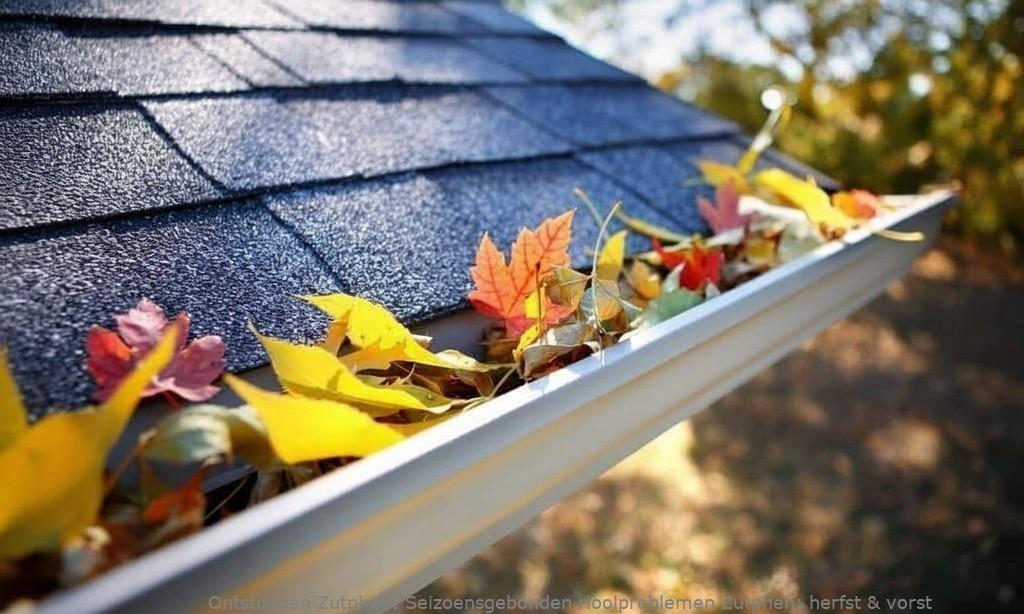 Seizoensgebonden rioolproblemen Zutphen: herfst & vorst